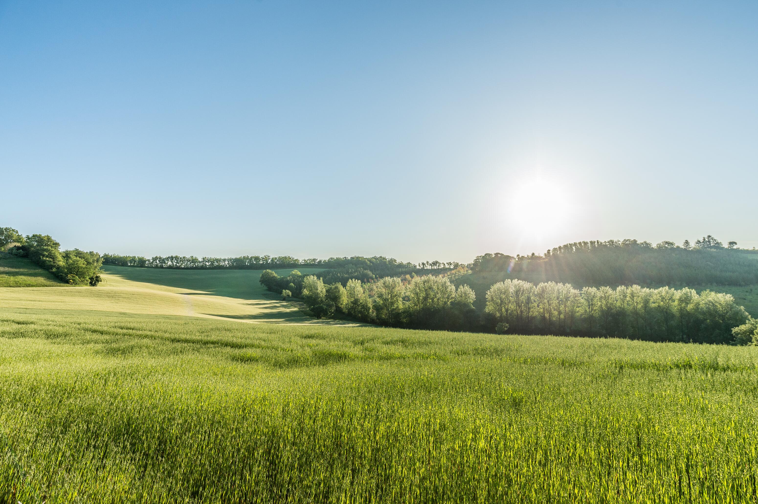 AD_TAV_Terre d-Avoine_01012020